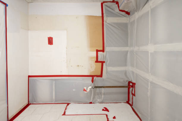 Best Forensic Mold Investigation  in Highlands, CA