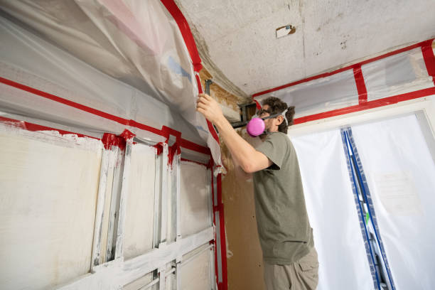 Best Indoor Air Quality Assessment  in Highlands, CA