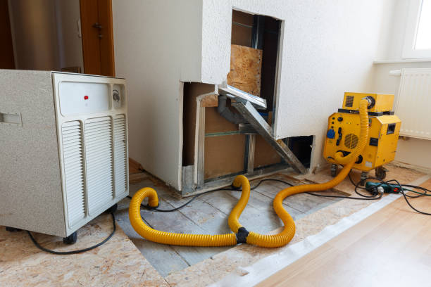 Best Water Damage & Mold Remediation  in Highlands, CA