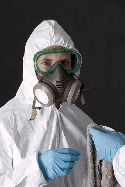  Highlands, CA Mold Removal Pros